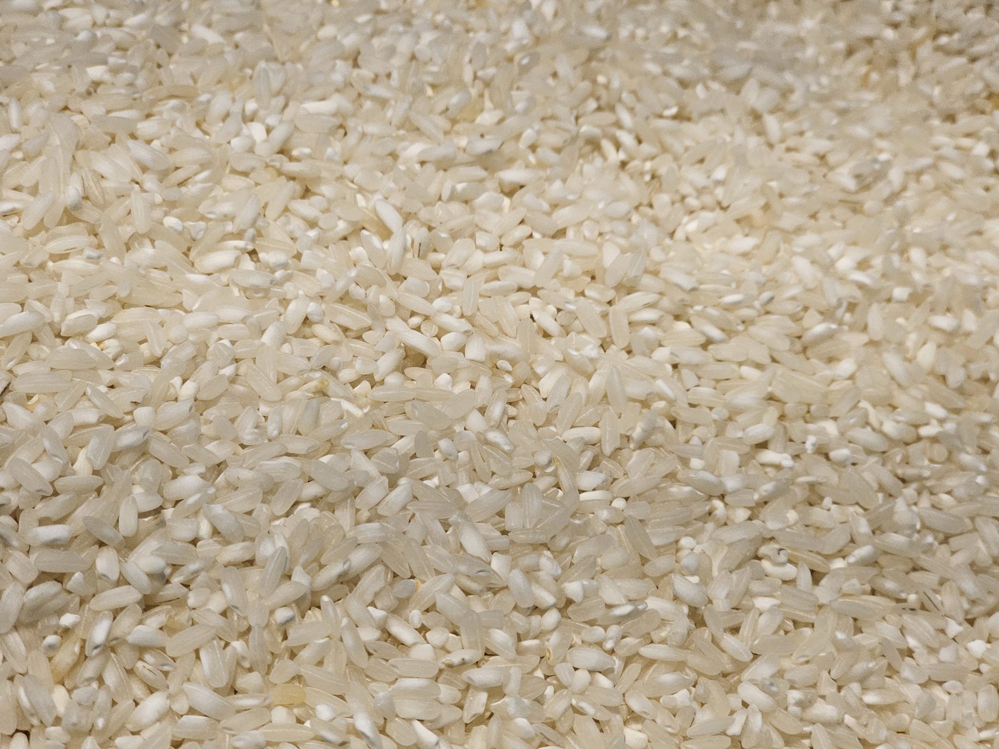 White rice grains in bulk